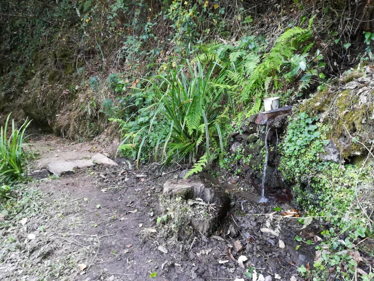 Quinta Da Portelada Peso da Regua Luaran gambar