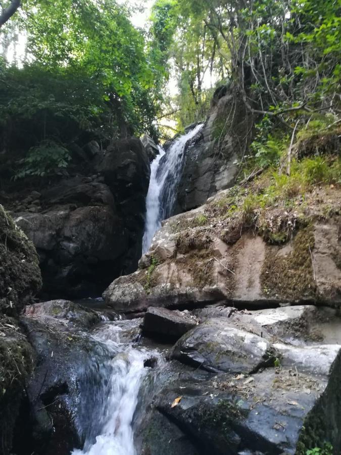 Quinta Da Portelada Peso da Regua Luaran gambar