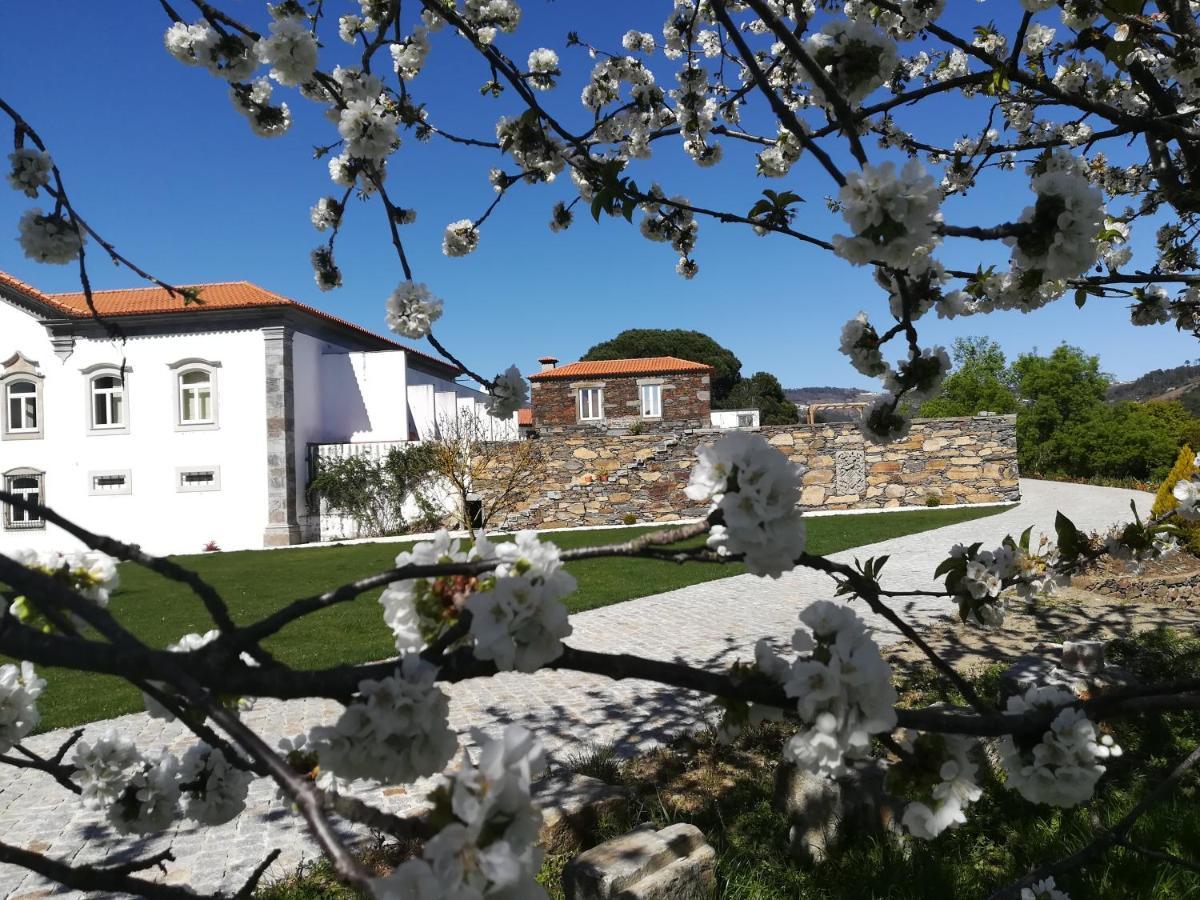 Quinta Da Portelada Peso da Regua Luaran gambar
