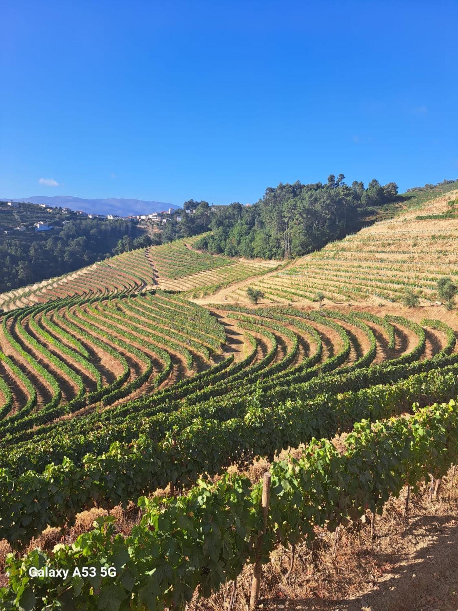 Quinta Da Portelada Peso da Regua Luaran gambar