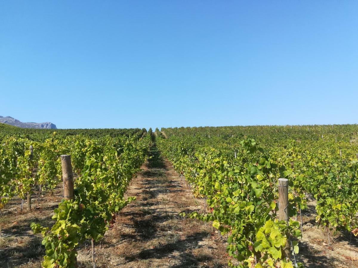 Quinta Da Portelada Peso da Regua Luaran gambar